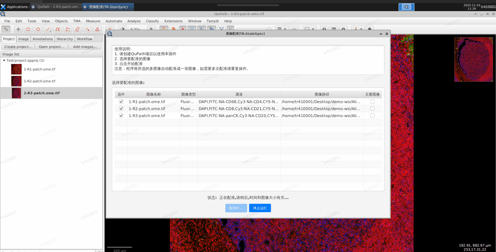 image-already