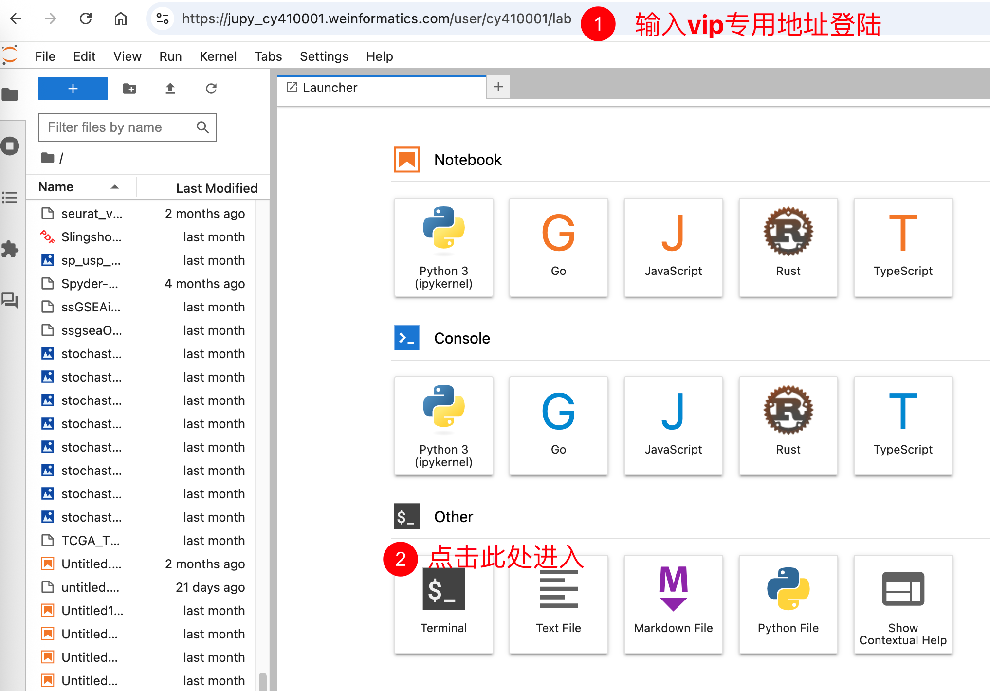 image-20251005210237315