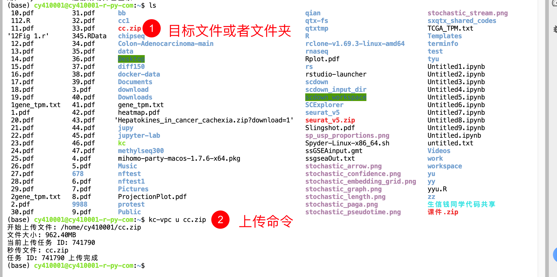 image-20251005210915737