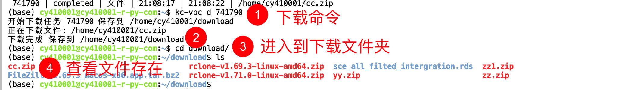 image-20251005211329890