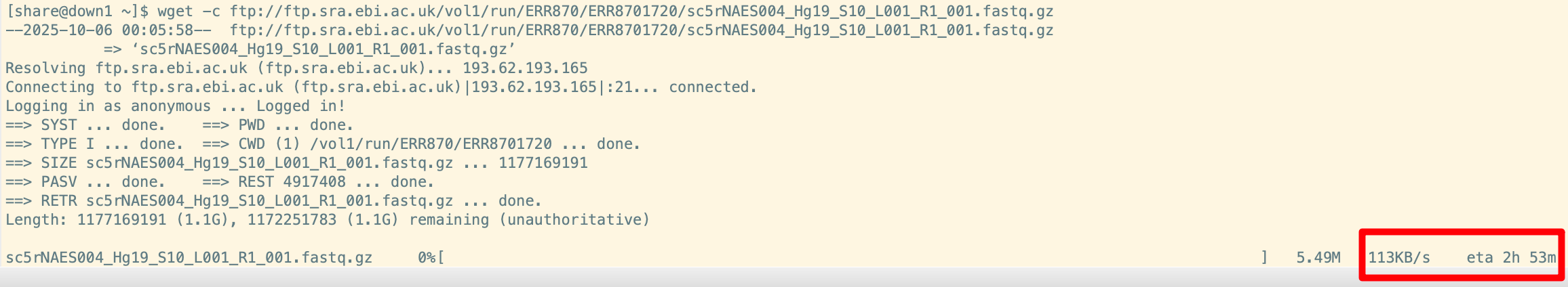 image-20251005220631168