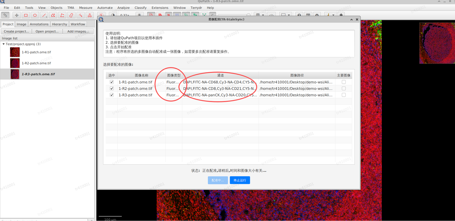 image-20251122150215078