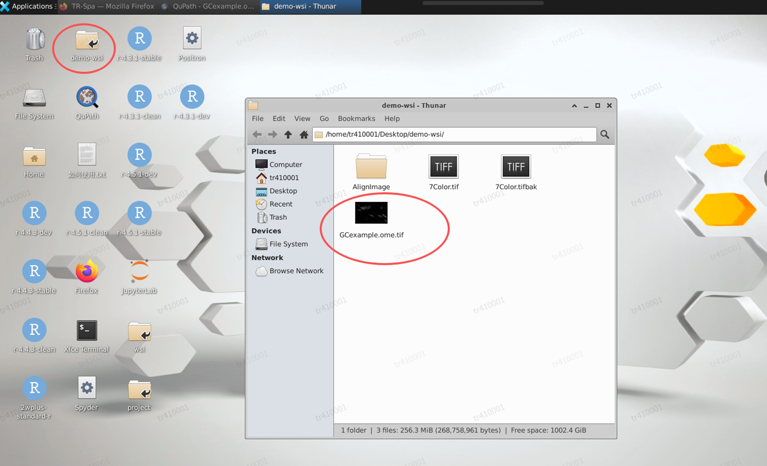 image-20251122151048894