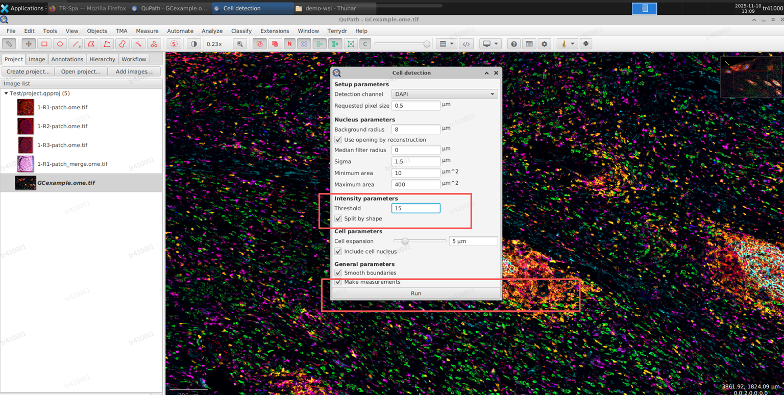 image-20251122151330346