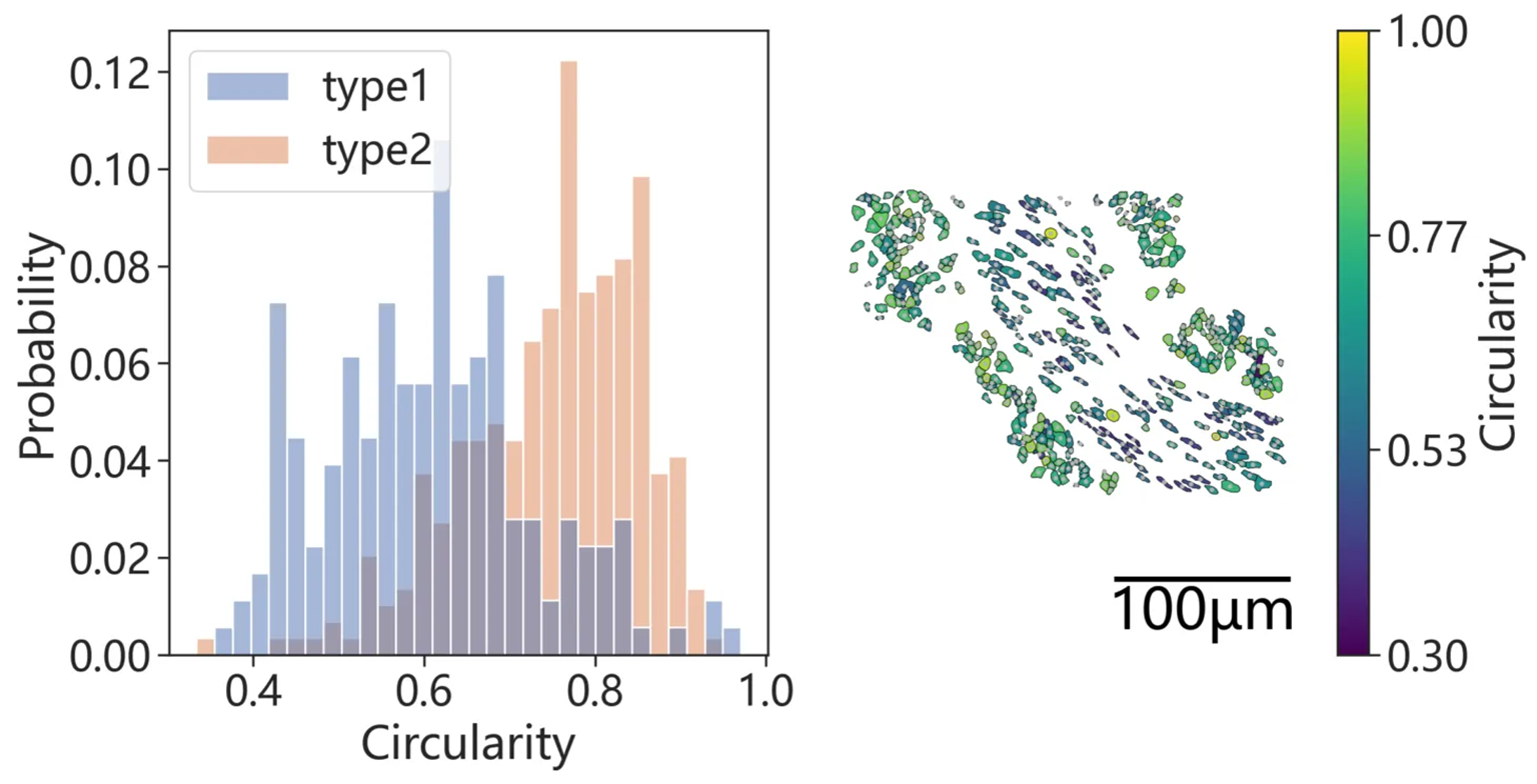 image-20251122152004150