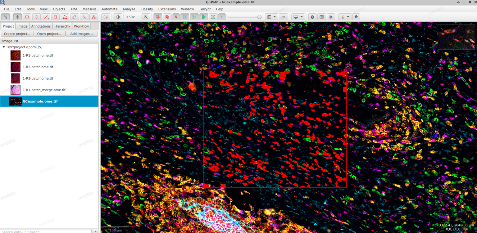 image-20251122152548594