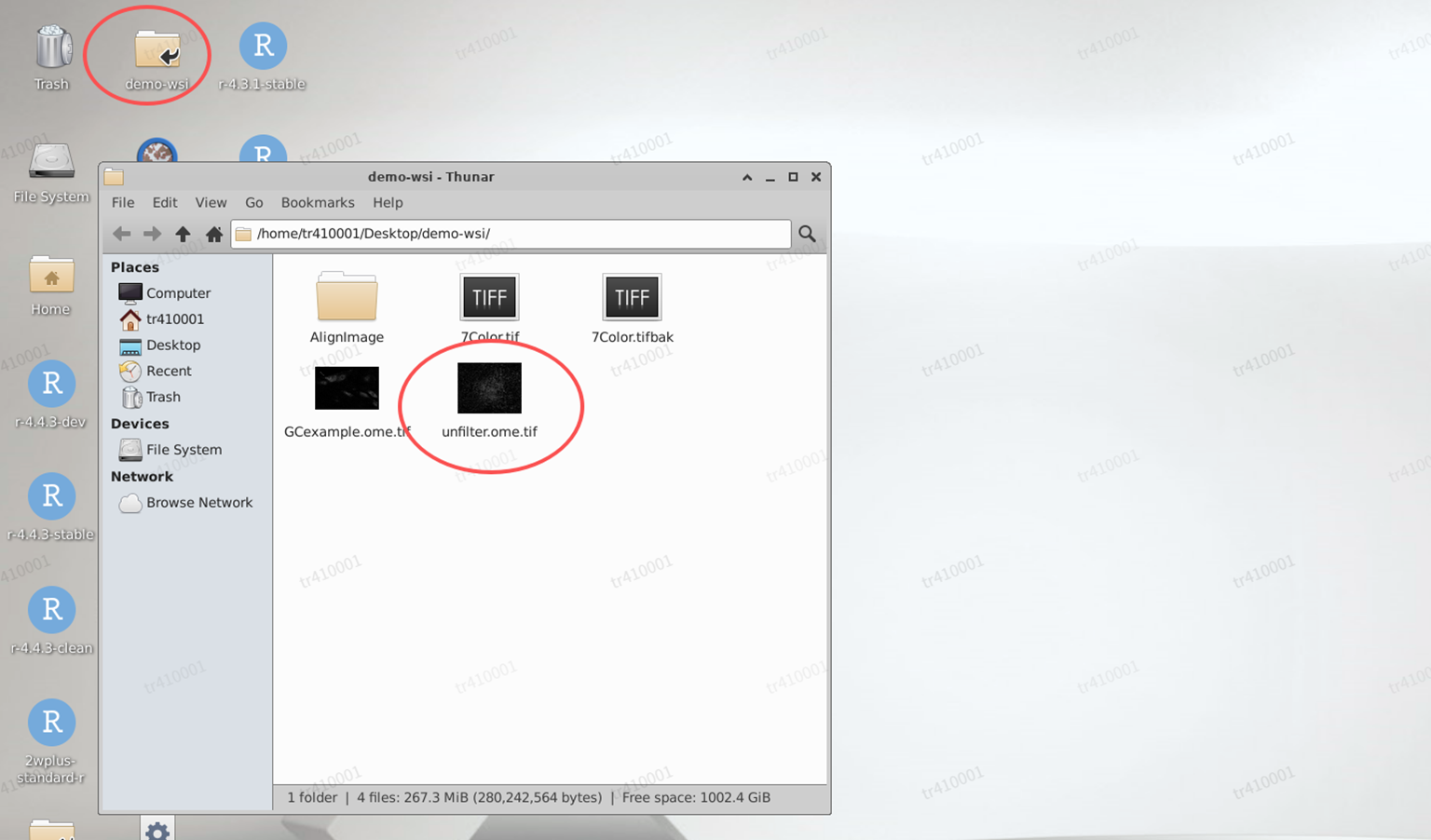 image-20251122152917242