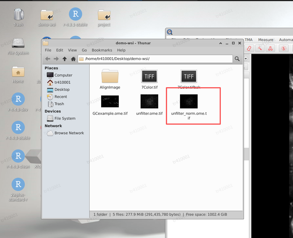 image-20251122153309492